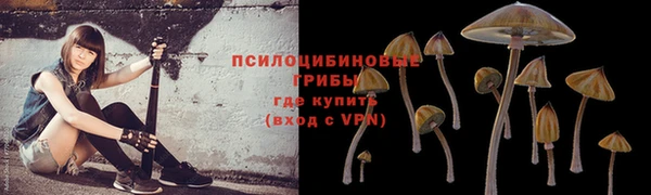 сатива Осинники
