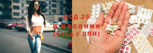 молекула духа Арсеньев