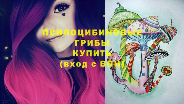 ГАЛЛЮЦИНОГЕННЫЕ ГРИБЫ Армянск