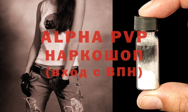 PSILOCYBIN Осташков
