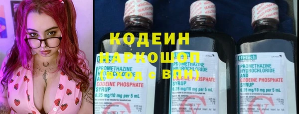 молекула духа Арсеньев