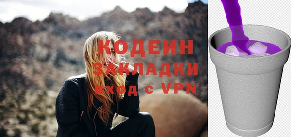 молекула духа Арсеньев