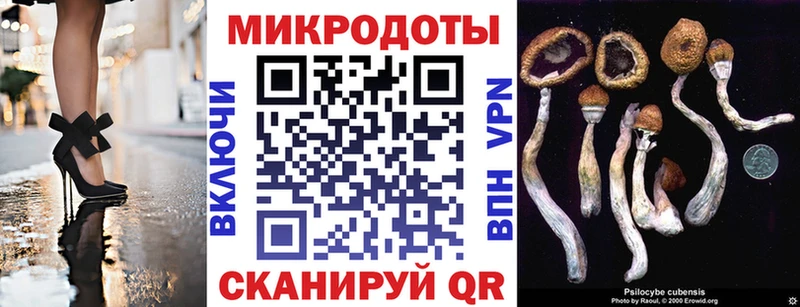 Галлюциногенные грибы Cubensis  MEGA ТОР  Черемхово 